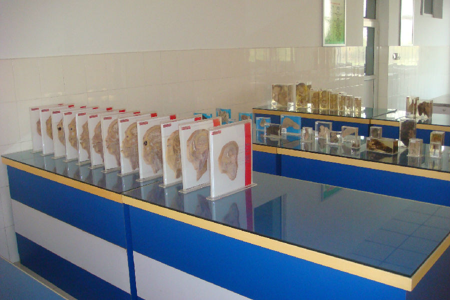 国产高清无密码一区二区三区