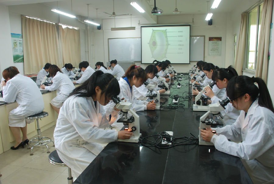 国产高清无密码一区二区三区