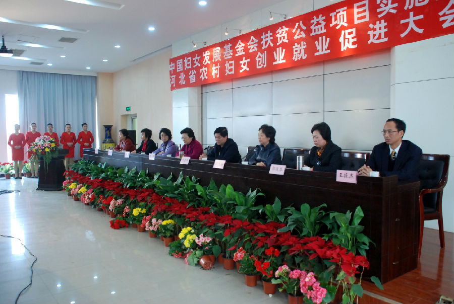 国产高清无密码一区二区三区