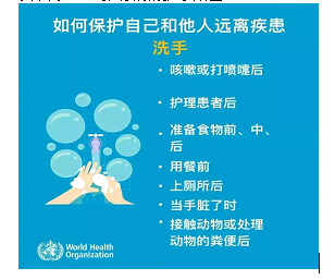 国产高清无密码一区二区三区