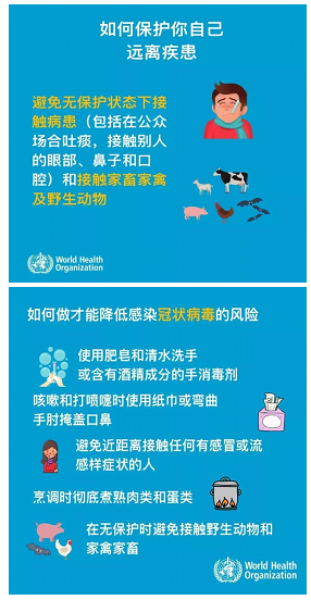 国产高清无密码一区二区三区