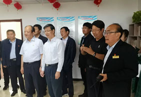 国产高清无密码一区二区三区